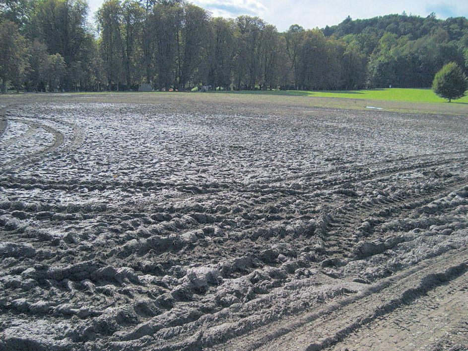 Na sobotnem žuru so zbrali okoli 20 tisoč evrov za odprtje prijazne sobe za beli