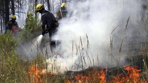 Španija, požar, ogenj, gasilci, gašenje
