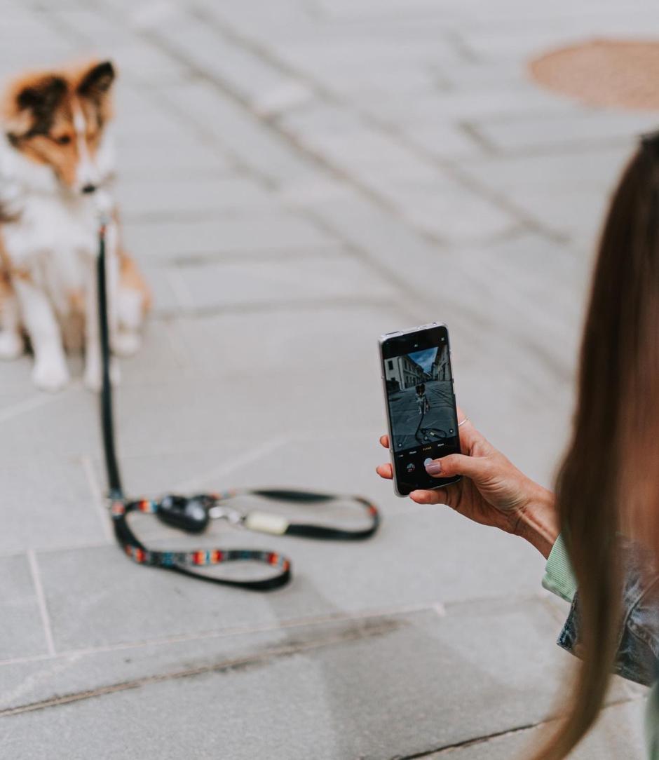 Xiaomi | Avtor: Xiaomi