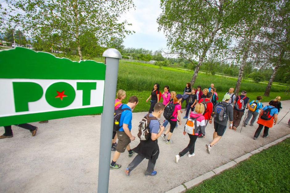 pot ob žici | Avtor: Saša Despot