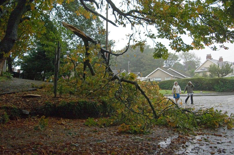 Močan veter | Avtor: Profimedia