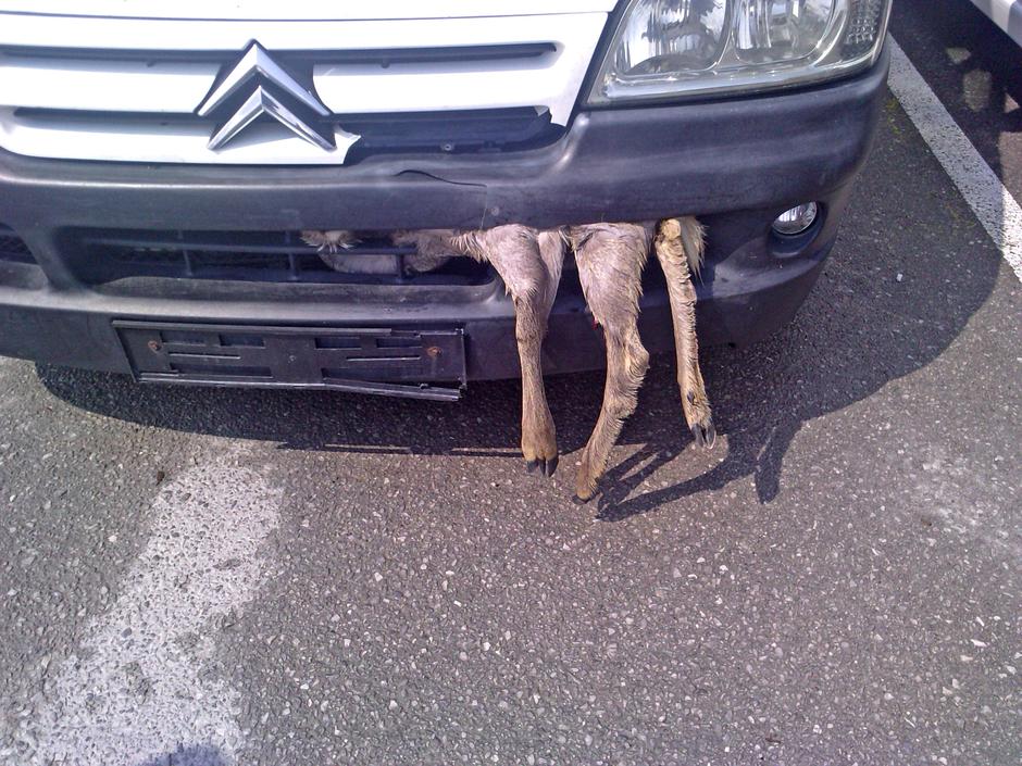  | Avtor: Žurnal24 main