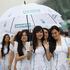 paddock girls grid girls