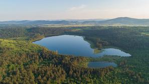 Petelinjsko jezero