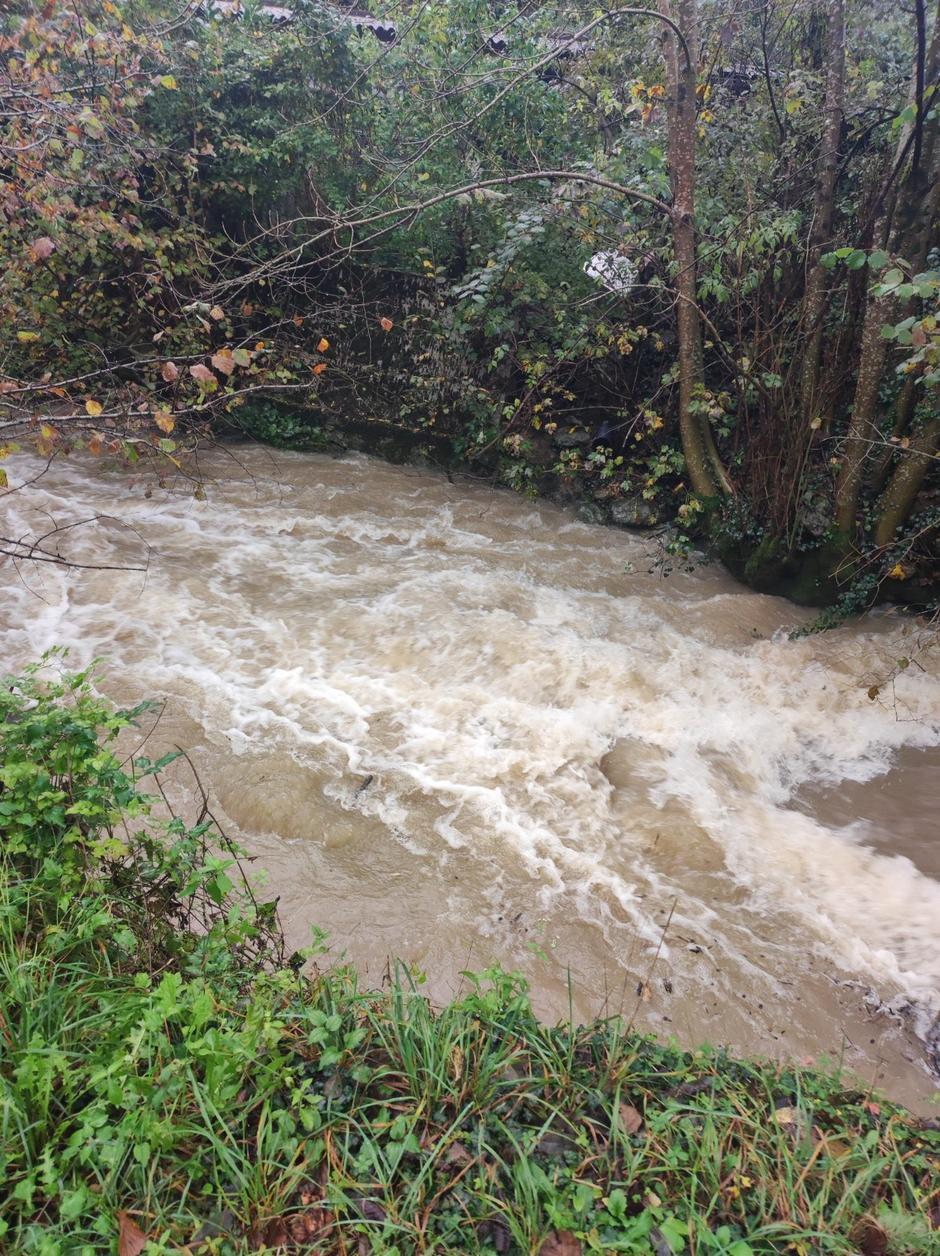 Nalivi, Deskle | Avtor: M. G. 