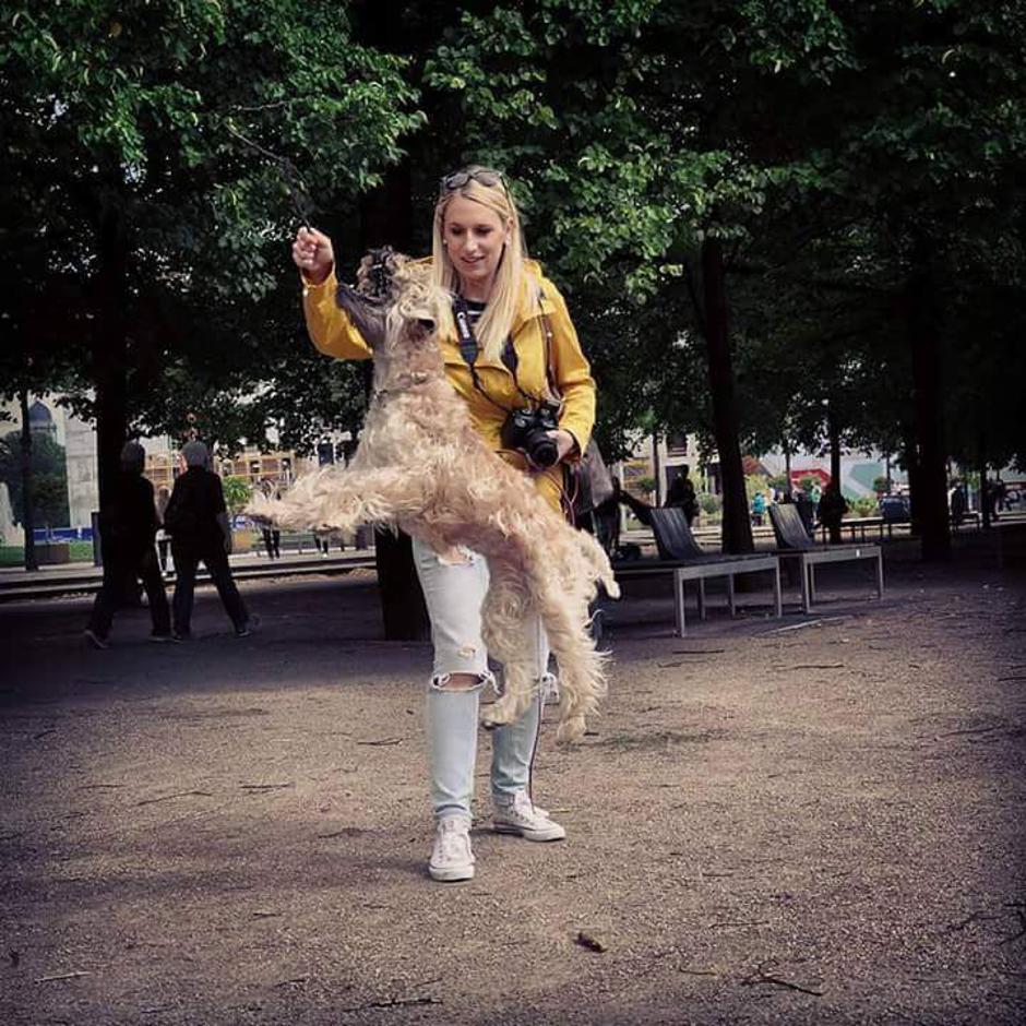 Irski mehkodlaki pšenični terier | Avtor: Tjaša Stanonik