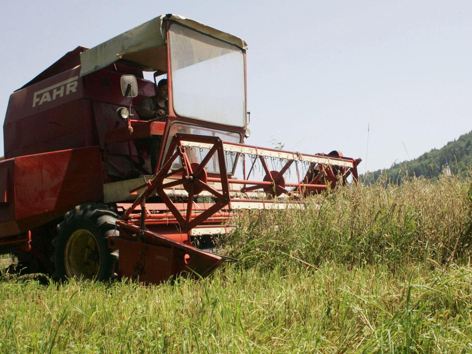 V izvenparlamentarni NSi pričakujejo podporo koalicije na vloženi zakon. (Foto:  | Avtor: Žurnal24 main