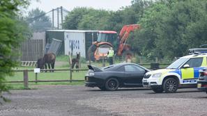 Cambridgeshire živalski vrt