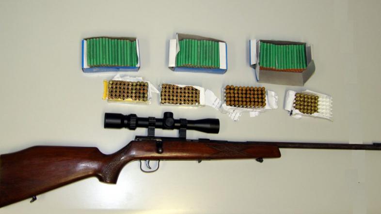 ZASEG PUŠKE IN PETARD