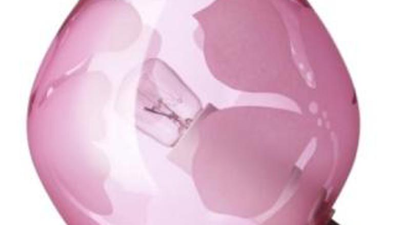 Ikea je prijazna do okolja in preprečuje izkoriščanje delovne sile.