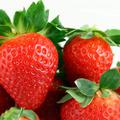 Jagode