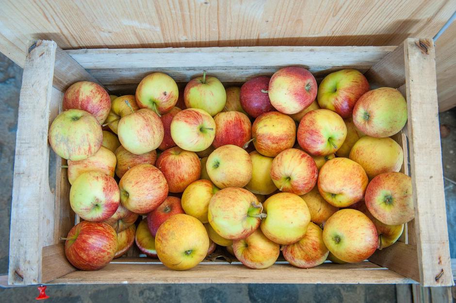 Jabolka | Avtor: Profimedia