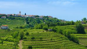 "Slovenska Toskana" vabi ... (Foto: Shutterstock)