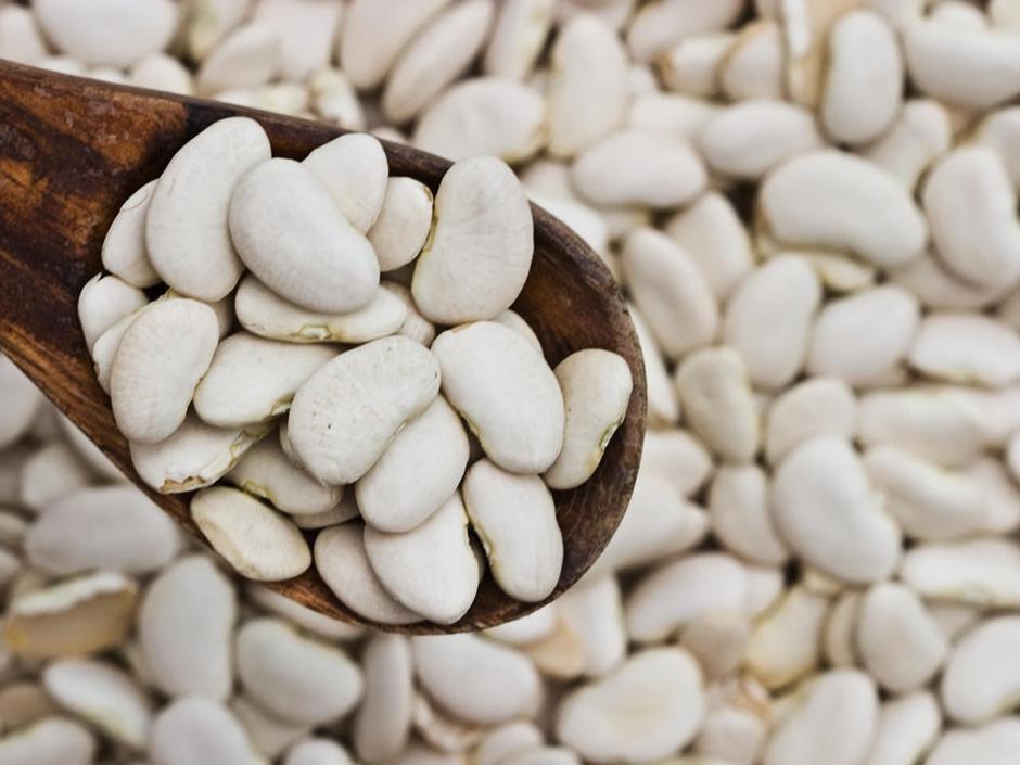 beli fižol | Avtor: Žurnal24 main