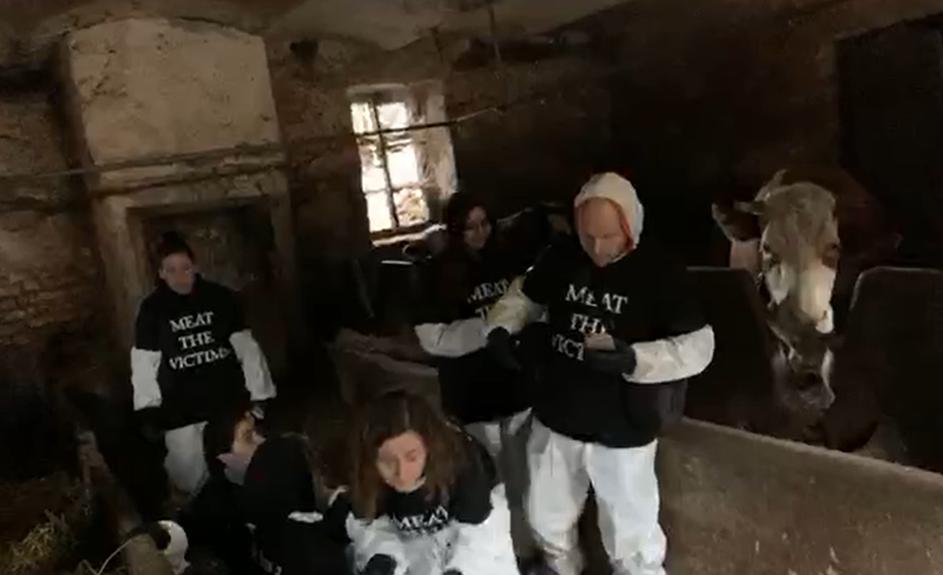 vegani protest kmetija vodnikova ljubljana