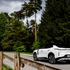 lynk 08