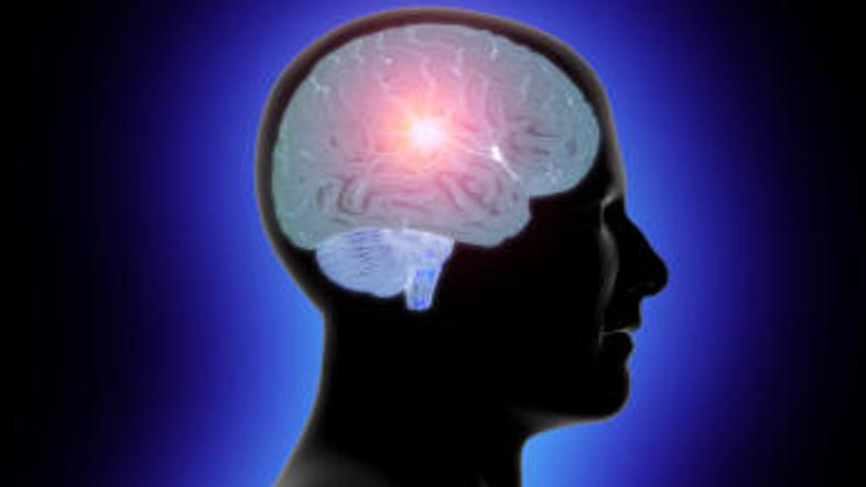 Vas zanima vaš inteligenčni količnik?