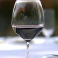 Prvo mesto je osvojil merlot iz vinorodnega okoliša Vipavska dolina.