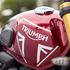 Triumph motor