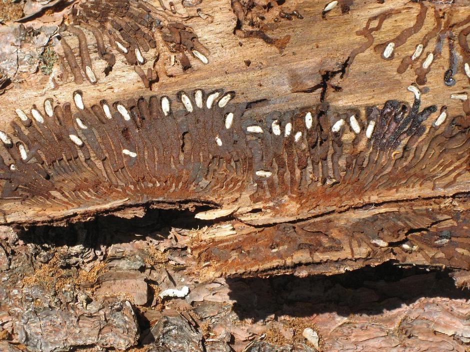 (Foto: Andraž Sodja) | Avtor: Žurnal24 main