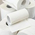 Toaletni papir