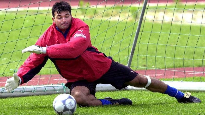 Pavel Srníček