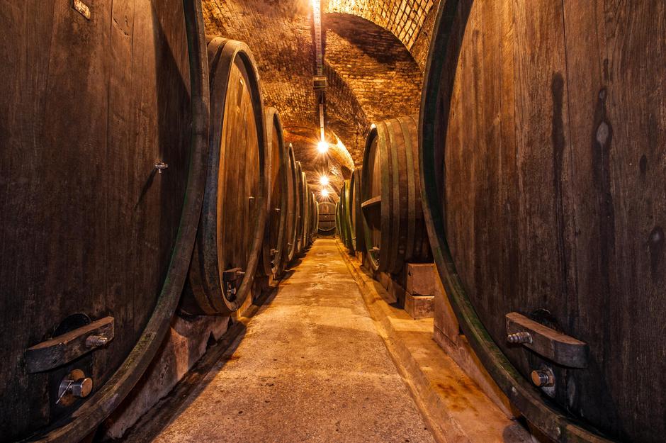 Vinska klet | Avtor: Profimedia