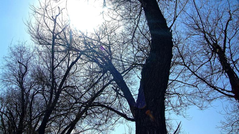 Vreme: Srednjeročna napoved: Tudi do 10 stopinj pod dolgoletnim povprečjem - Pomlad