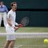 Andy Murray Wimbledon polfinale
