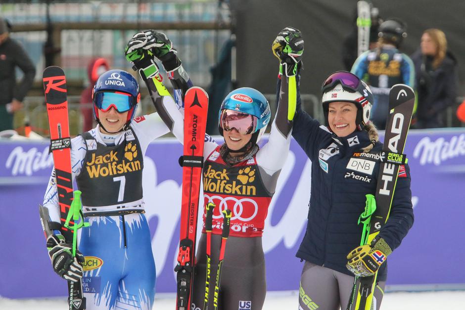 Zlata lisica | Avtor: Saša Despot