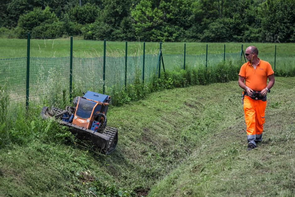 DARS | Avtor: Saša Despot