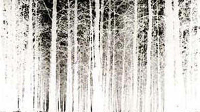 Naslovnica zgoščenke s soundtrackom za film. Med drugim je skladbo Gloomy Sunday