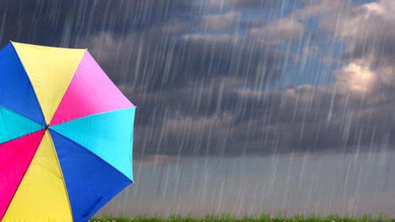 V začetku tedna bo vreme še nestanovitno, zato ne pozabite dežnika. (Foto: istoc