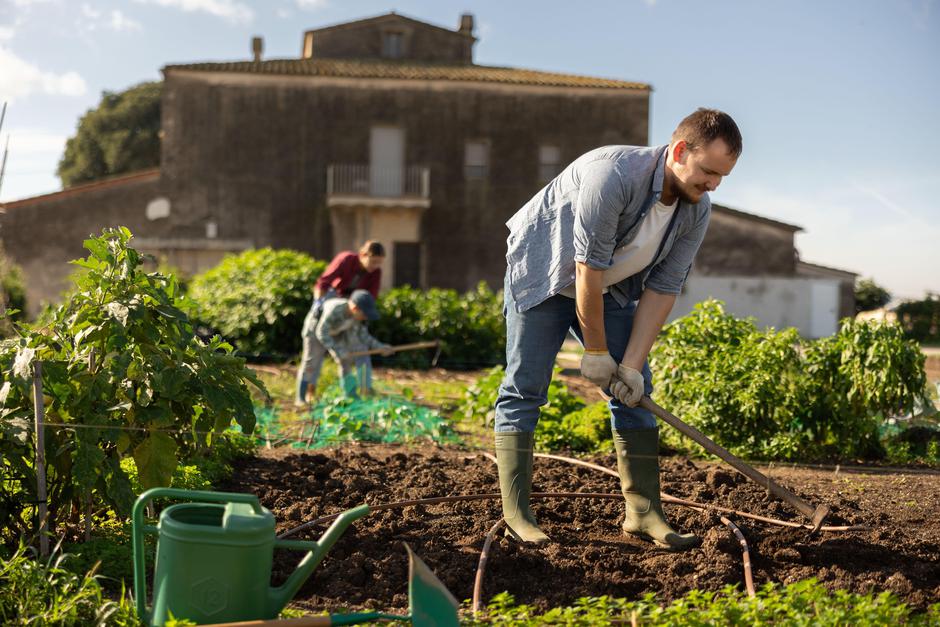 Vrt | Avtor: Profimedia