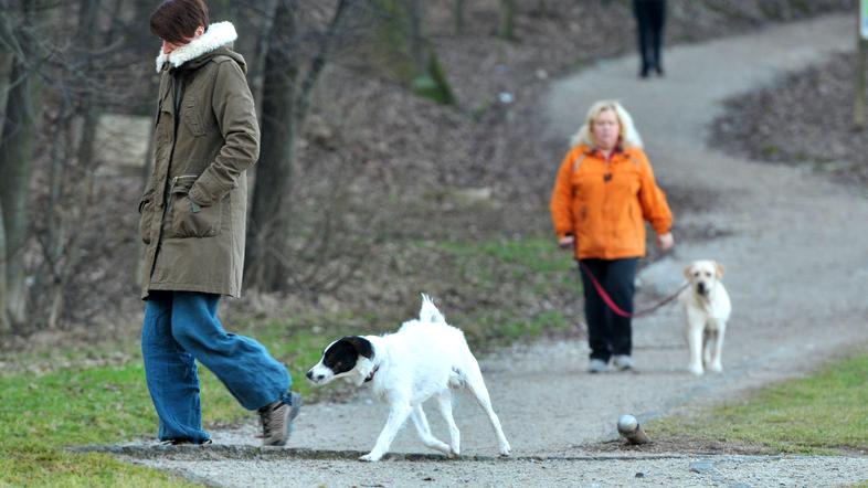 (Foto: Anže Petkovšek)