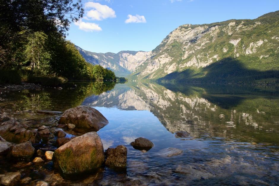 Bohinjsko jezero | Avtor: Shutterstock