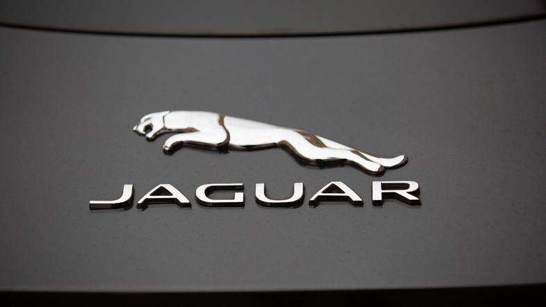 Jaguar logo