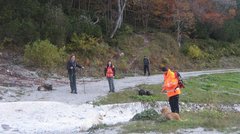 Iskanje pogrešane osebe