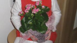 Gaja, za Gajine korake