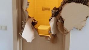 johnny quinn tekmovalec v bobu razbita vrata soči