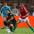 robin van persie roland juhasz nizozemska madžarska 