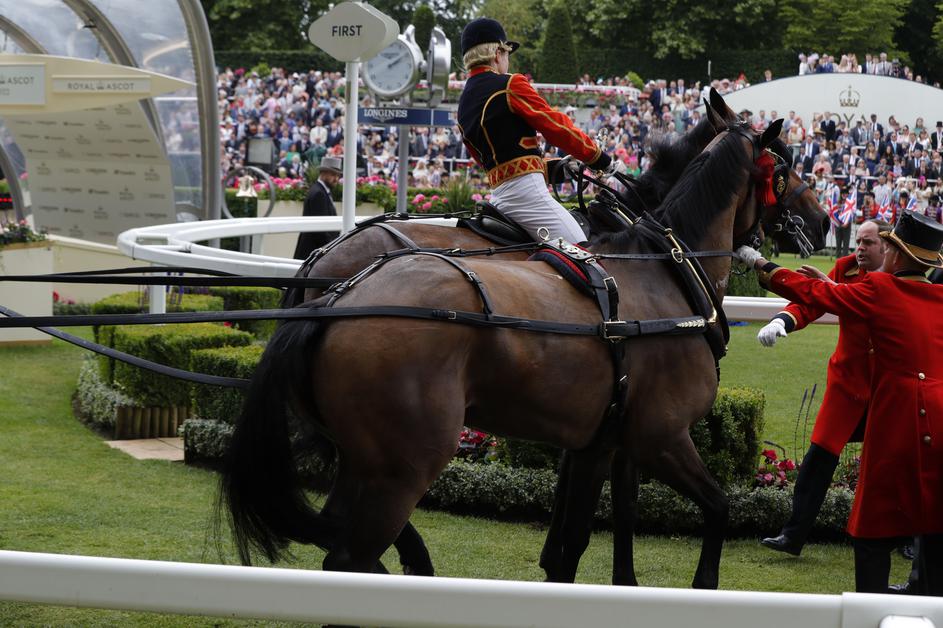 royal ascot