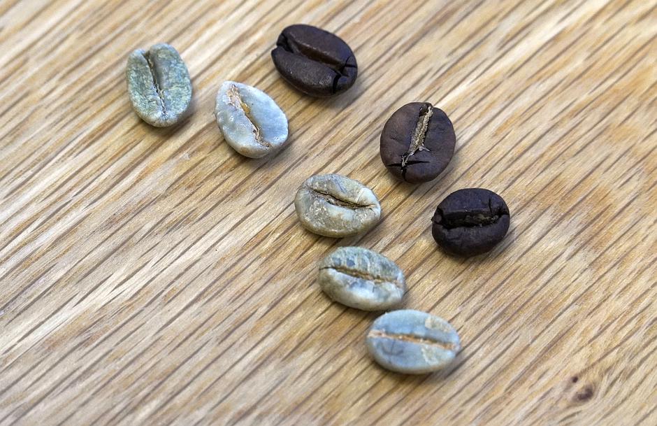 MOL Roastar pražarna kave, Fresh Corner | Avtor: Matija_Janežič