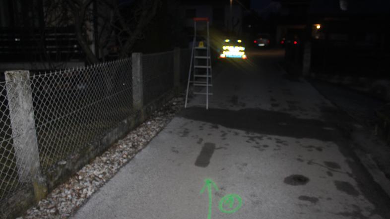 Skiro, nesreča, obrezovanje drevja, PU Kranj