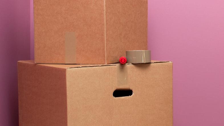 Med selitvijo. (Foto: Shutterstock)