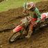 MX 125, Virant