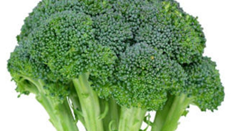 Zapomnili si ga boste!