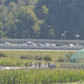 policijska intervencija na dolenjski avtocesti med Bičem in Trebnjim