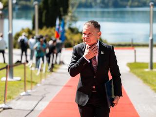 Franci Matoz