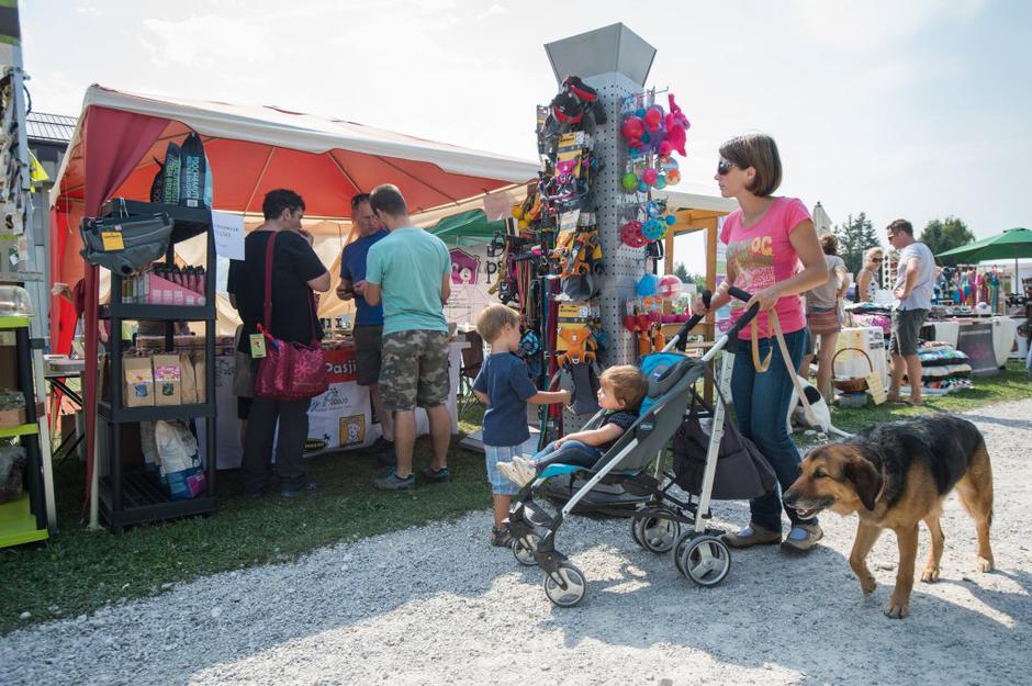 sejem 2016 | Avtor: Anže Petkovšek